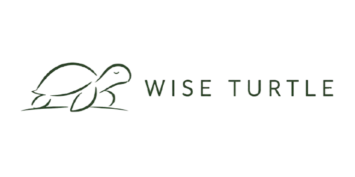 Wise Turtle